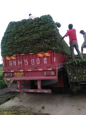 橋頭直達(dá)荊州市 物流回程車(chē)與普通道路貨物運(yùn)輸代理服務(wù)解析